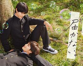 小妇人在线观看免费版电视剧